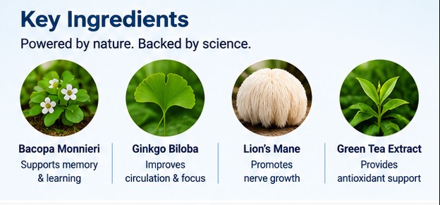 VapoCept ingredients: Bacopa Monnieri, Ginkgo Biloba, Lion's Mane and Green Tea Extract